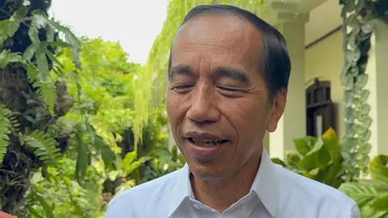 Reaksi Jokowi Lihat Sikap Effendi Simbolon Desak Megawati Mundur dari Ketum PDIP