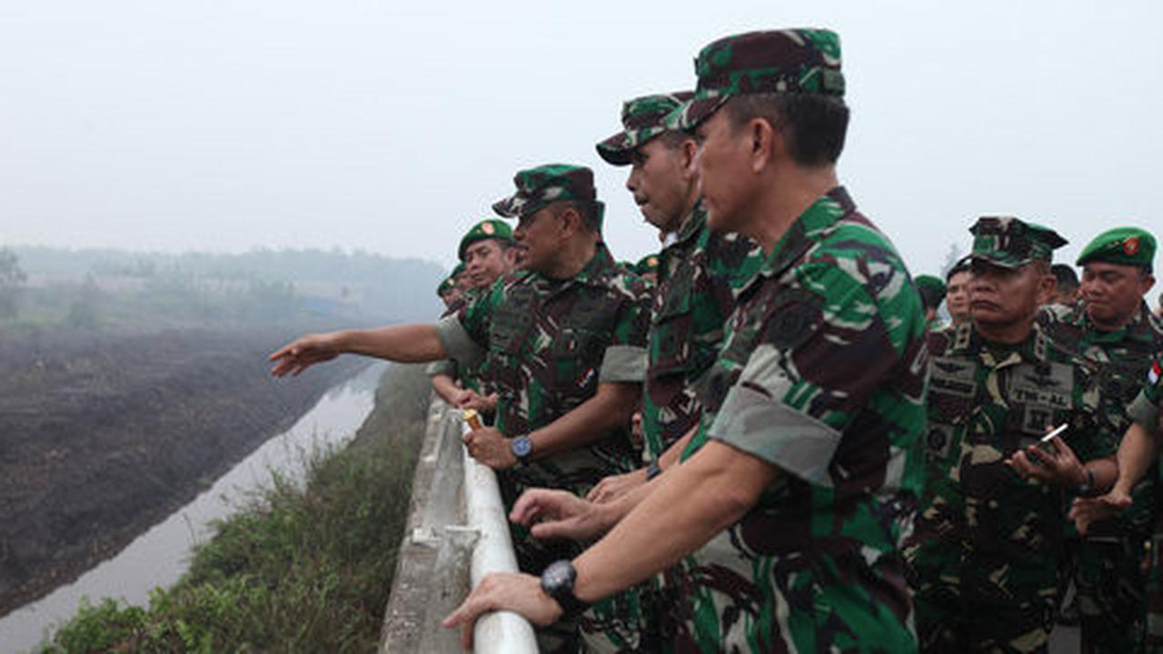 Panglima TNI Tinjau Penanggulangan Kebakaran Hutan di Kalteng