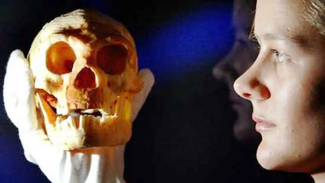 Homo floresiensis
