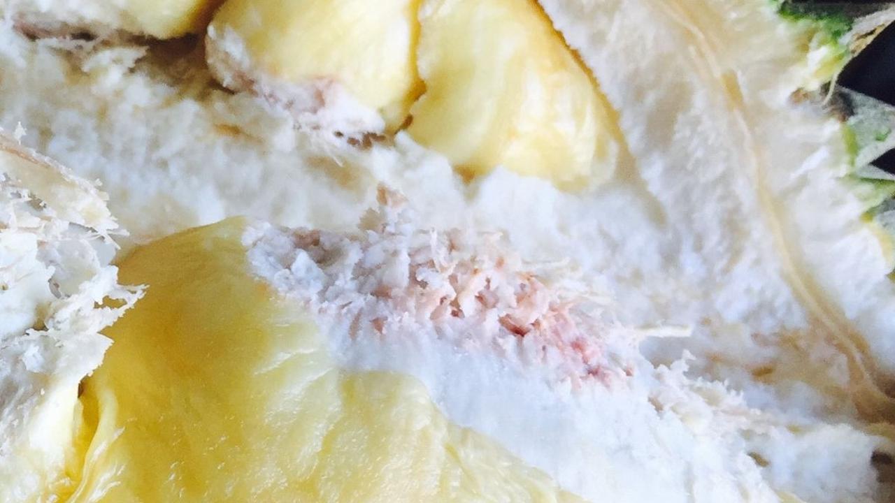 <b>Efek Samping Ibu Menyusui Makan Durian</b>