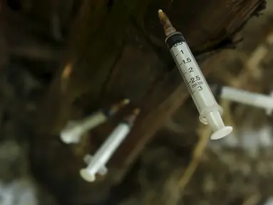 Jarum suntik heroin bekas para pecandu narkoba tertancap pada pohon pisang di Hanoi ,Vietnam, Selasa (1/12). Hal ini dilakukan untuk menyinggung meningkatnya remaja yang meninggal akibat AIDS dan penggunaan narkoba. (REUTERS/Kham)