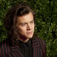 Harry Styles (Bintang/EPA)