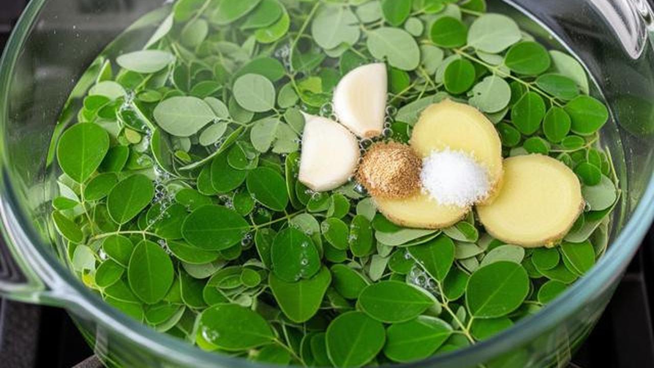 Trik Mengolah Daun Kelor agar Tidak Langu dan Lebih Nikmat