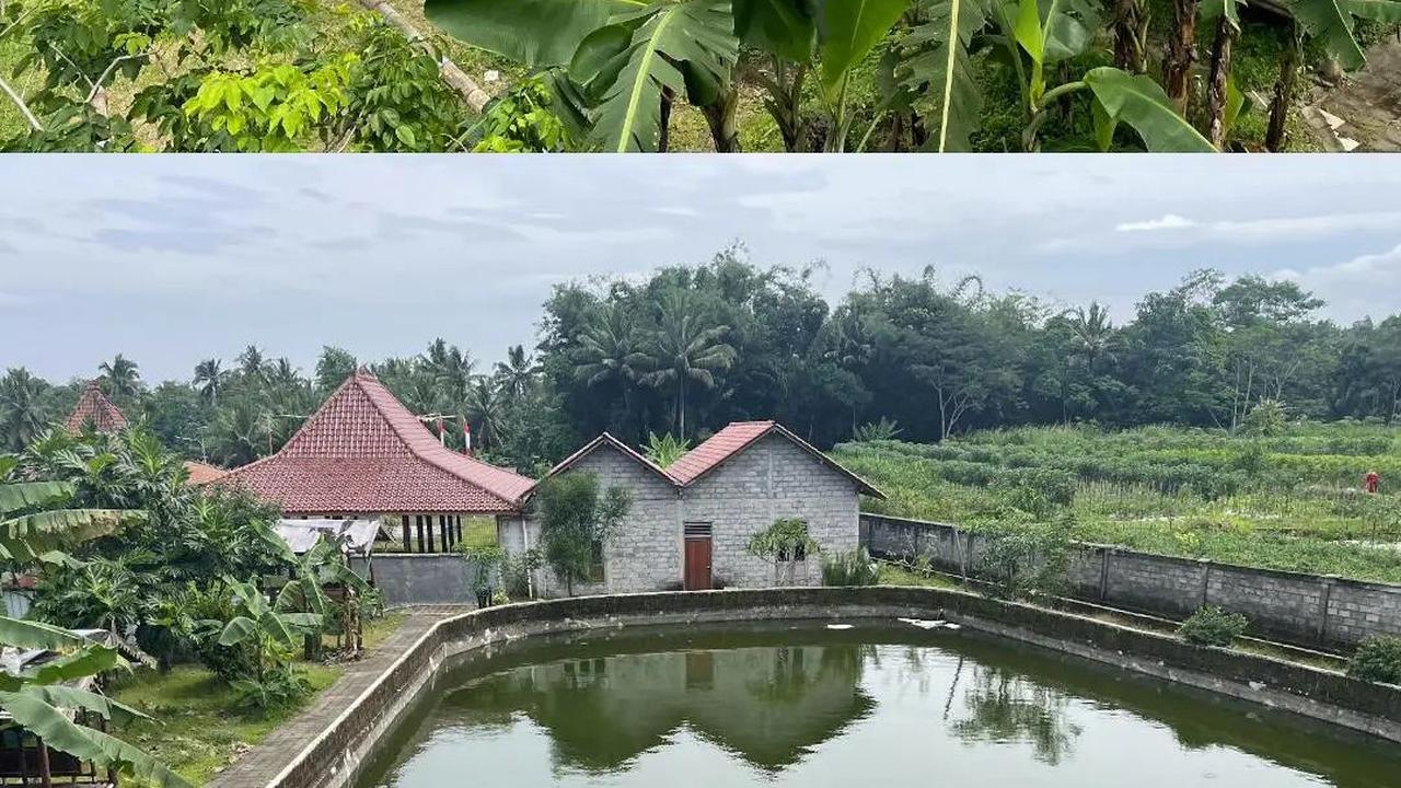 Desa Polengan Magelang Terima Ratusan Bibit Pohon dari BRI Menanam