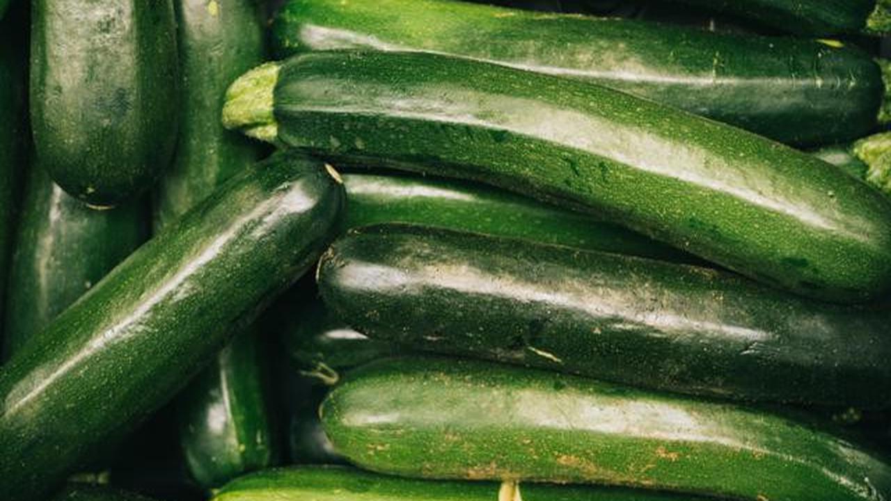 Zucchini.