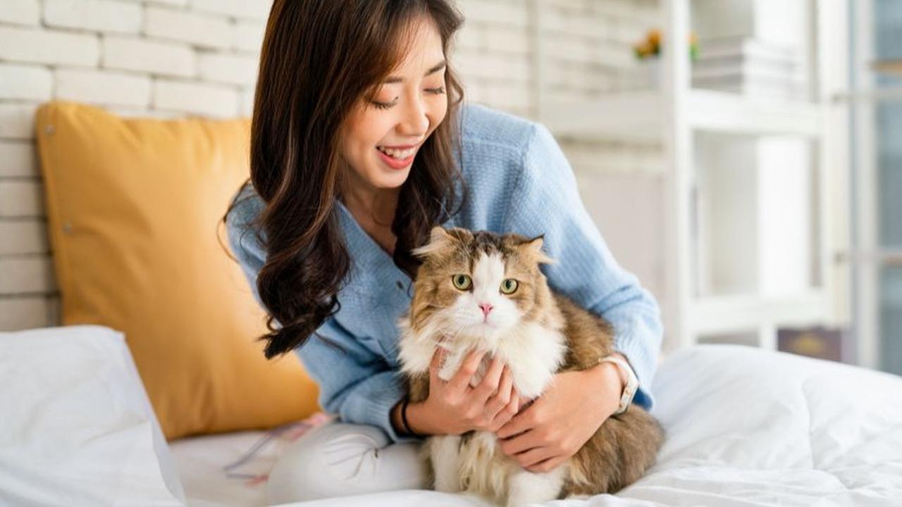 Manfaat Memelihara Kucing bagi Kesehatan Mental