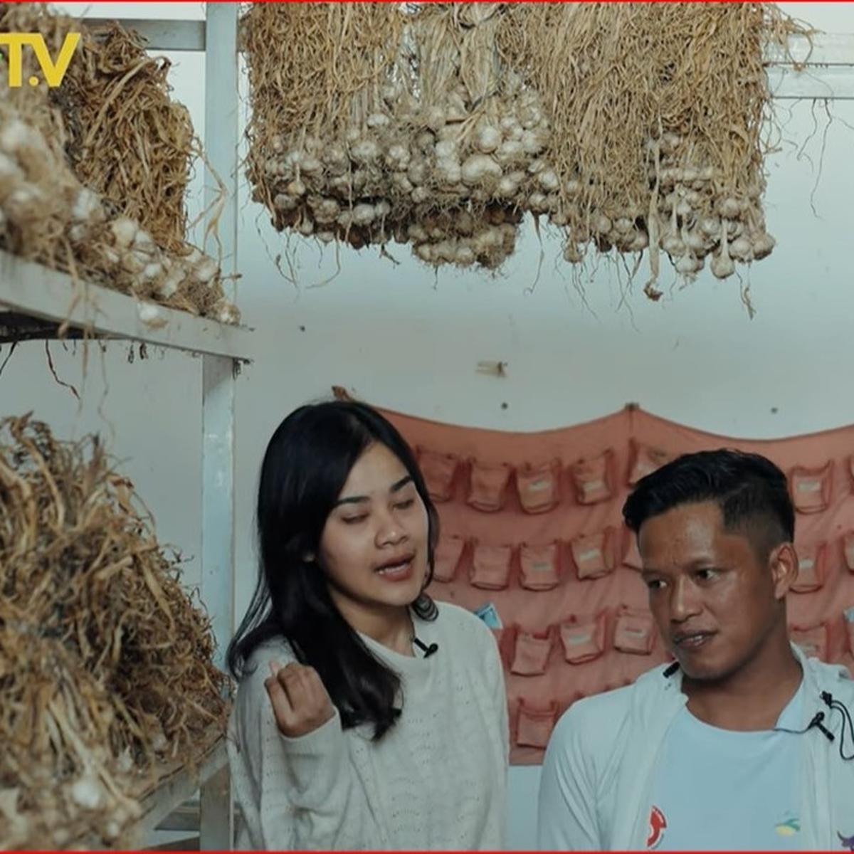 Petani bawang putih di Jateng