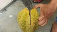 Membeli durian seharga Rp 15 ribu, pria ini justru alami pengalaman lucu. (Doc: Facebook/Tomy Aee Wezz)