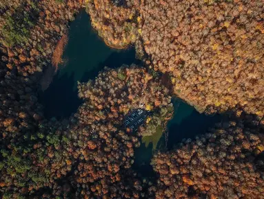 Foto udara ini menunjukkan pemandangan dari Taman Nasional Yedigoller di distrik Bolu, pada 9 November 2021. Turki merupakan sebuah negara dengan tujuan wisata yang populer di musim gugur, diantaranya adalah Taman Nasional Yedigöller. (Ozan KOSE / AFP)
