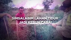 Pandemi COVID-19 telah menumbangkan banyak usaha, namun itu bukan berarti semua yang terdampak hanya akan diam menerima keadaan. Bhabinkamtibmas Polsek Julok, Bripka Basri adalah salah satunya. 

Dia ingin bisa mendorong masyarakat agar terus berus...