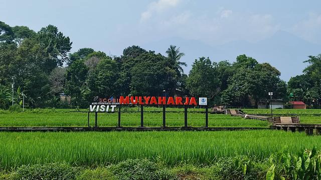 Bogor Botanical Gardens