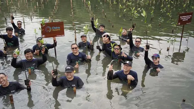 Perusahaan Importir Gelar Penanaman Mangrove Sebagai Wujud Kepedulian Lingkungan Menuju Usia 25 Tahun.  foto: istimewa