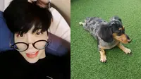 Jonghyun SHINee dan anjing kesayangannya, Roo [foto: instagram/jonghyun.948]