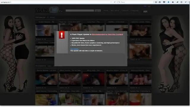 Flash Player Palsu. Dok: Karpesky