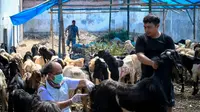 Jelang Iduladha 2025, Dinas Pertanian Sisir Lapak Hewan Kurban di Banyuwangi