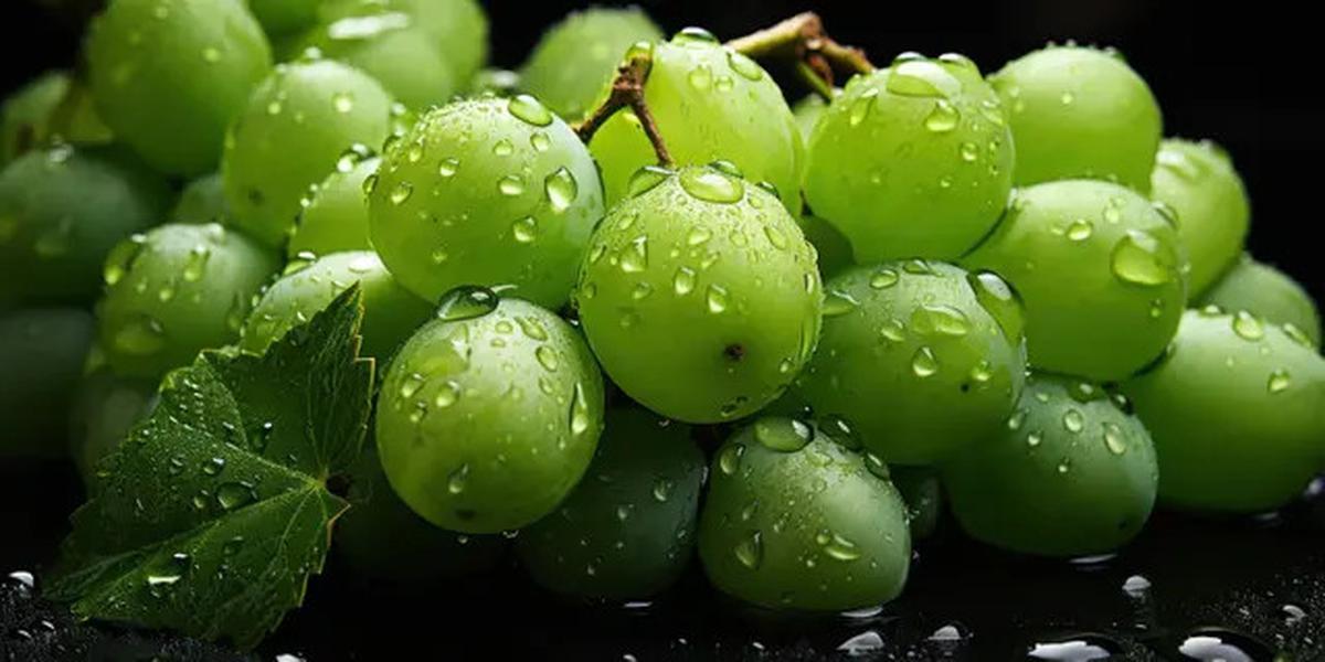 Cara Memilih Anggur Shine Muscat yang Tepat dan Aman, Perhatikan Warna Kulitnya
