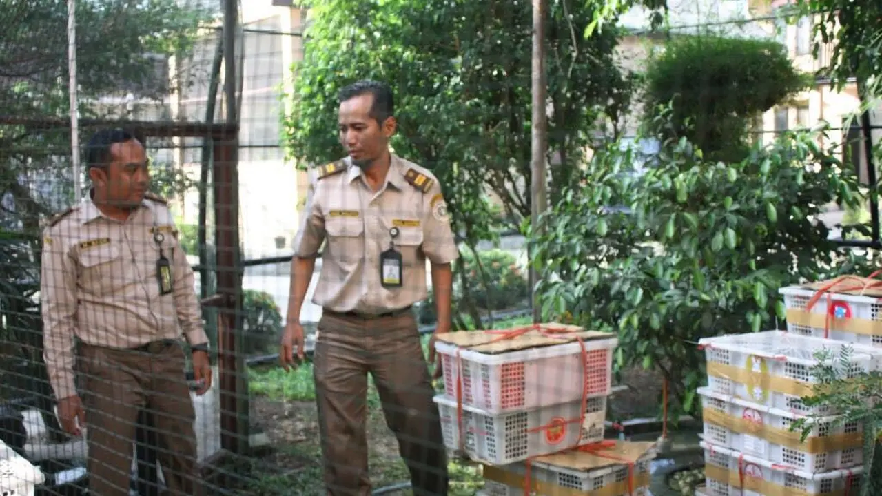 Petugas amankan burung endemik
