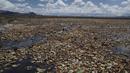 Botol plastik dan sampah lainnya mengapung di Danau Uru Uru dekat Oruro di Bolivia, Kamis (25/3/2021). Mayoritas sampah rumah tangga ini terbawa dari aliran sungai yang bermuara di danau ini. (AP Photo / Juan Karita)