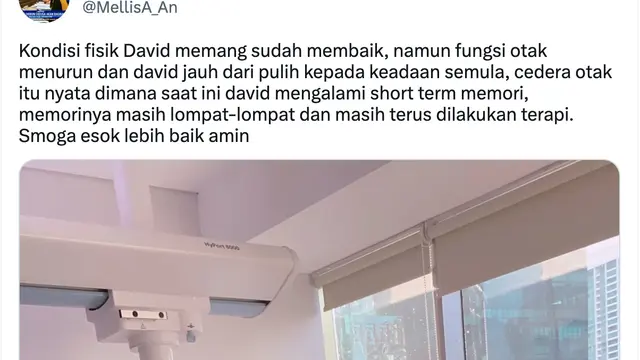 Cuitan pengacara David Ozora, Mellisa Anggraini. (Foto: Dok. Twitter @MellisA_An)