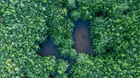 International Day for Biological Diversity 2026: Why It Matters for Our Lives