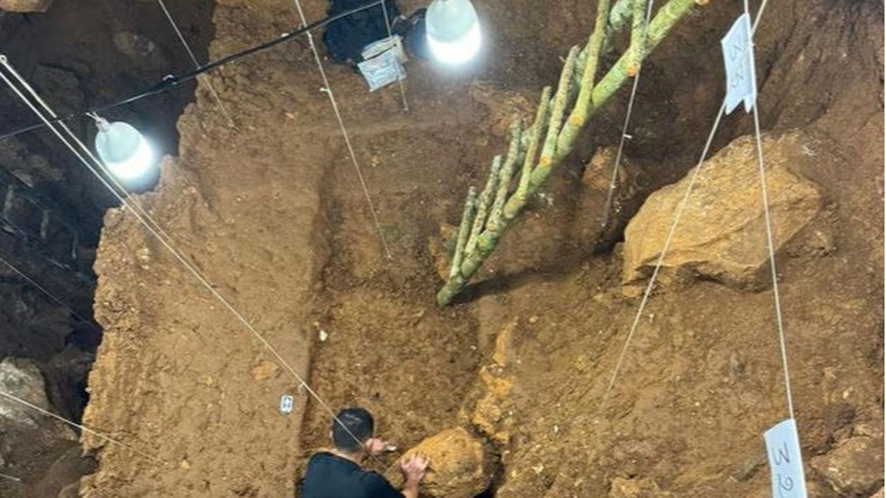 Penggalian di gua Tam Pà Ling di Laos.