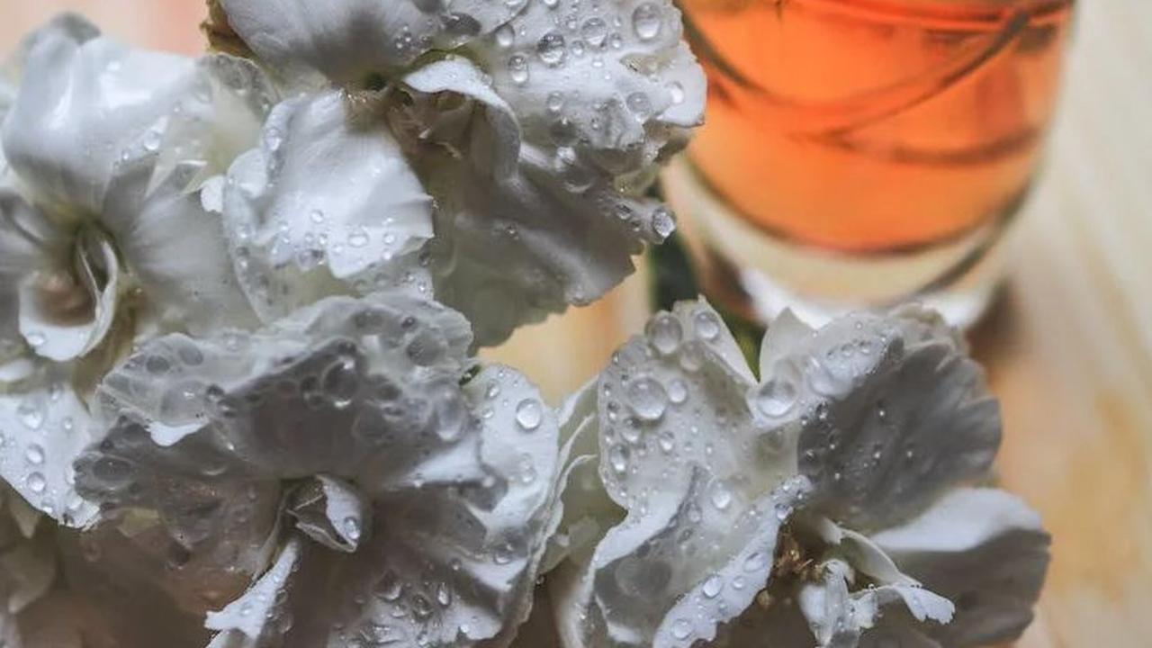 Dengan memiliki tanaman-tanaman ini di depan rumah, Anda bisa mencoba mengambil ekstraknya dan menciptakan parfum alami yang harum dan unik sesuai dengan selera Anda.