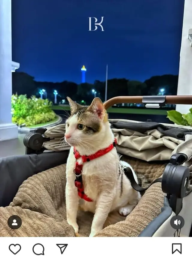 Bobby Kertanegara