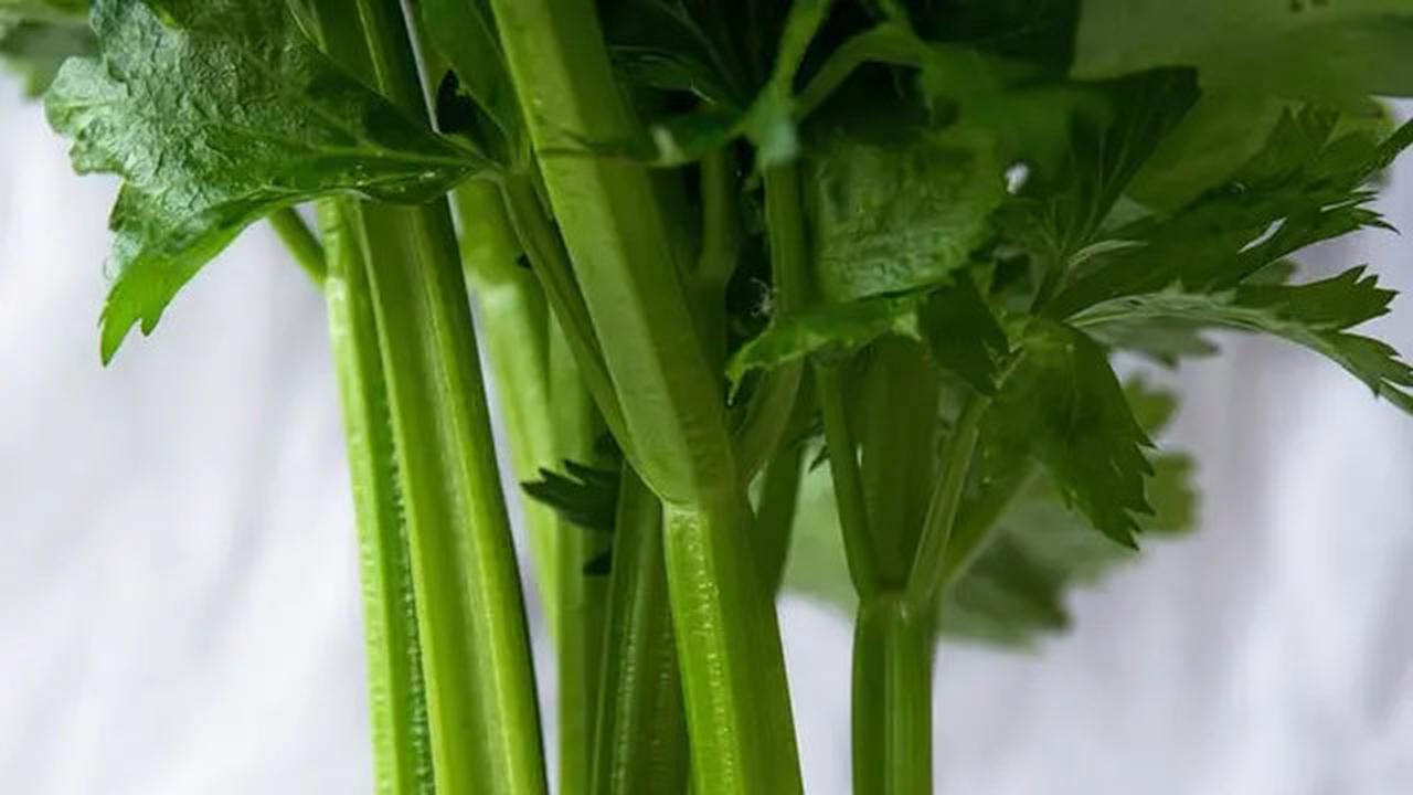 Trik Simpan Daun Bawang dan Seledri Tetap Segar Selama 2 Minggu Tanpa Freezer