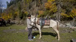 Seorang anak laki-laki Kashmir berpose dengan kudanya yang digunakan untuk perjalanan wisata di Naranag, utara Srinagar, Kashmir yang dikuasai India (31/10/2021). Tempat ini merupakan base camp untuk trekking ke Gunung Haramukh 16.870 kaki (5.142 meter) dan Danau Gangabal. (AP Photo/Dar Yasin)