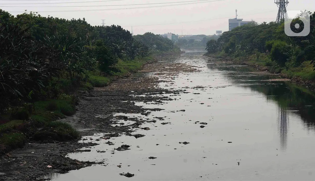 Surutnya air Kanal Banjir Timur dipengaruhi musim kemarau sehingga beberapa bagian sungai membentuk daratan. (merdeka.com/Imam Buhori)