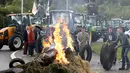Sejumlah peternak sapi perah melakukan aksi protes dengan membakar ban saat melakukan aksi protes di Battice, Belgia, Kamis (30/7/2015). Aksi protes tersebut berkaitan dengan rendahnya harga jual susu. (REUTERS/Francois Lenoir)