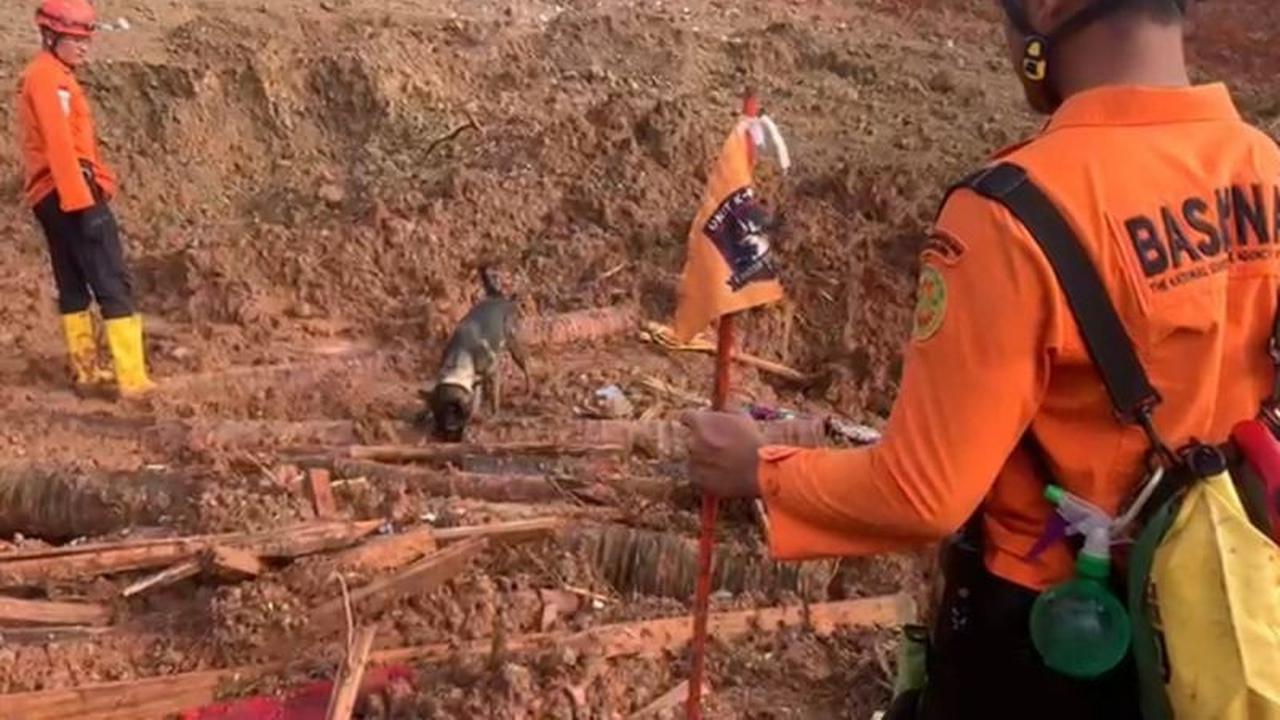 Pencarian Korban Longsor Cilacap: Tim SAR Kerahkan Anjing Pelacak dan Alat Berat