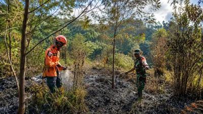 Daftar Gunung dan Taman Nasional Terbakar Selama Musim Kemarau