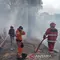 Lahan di Jalur Utama Selatan Cianjur Terbakar