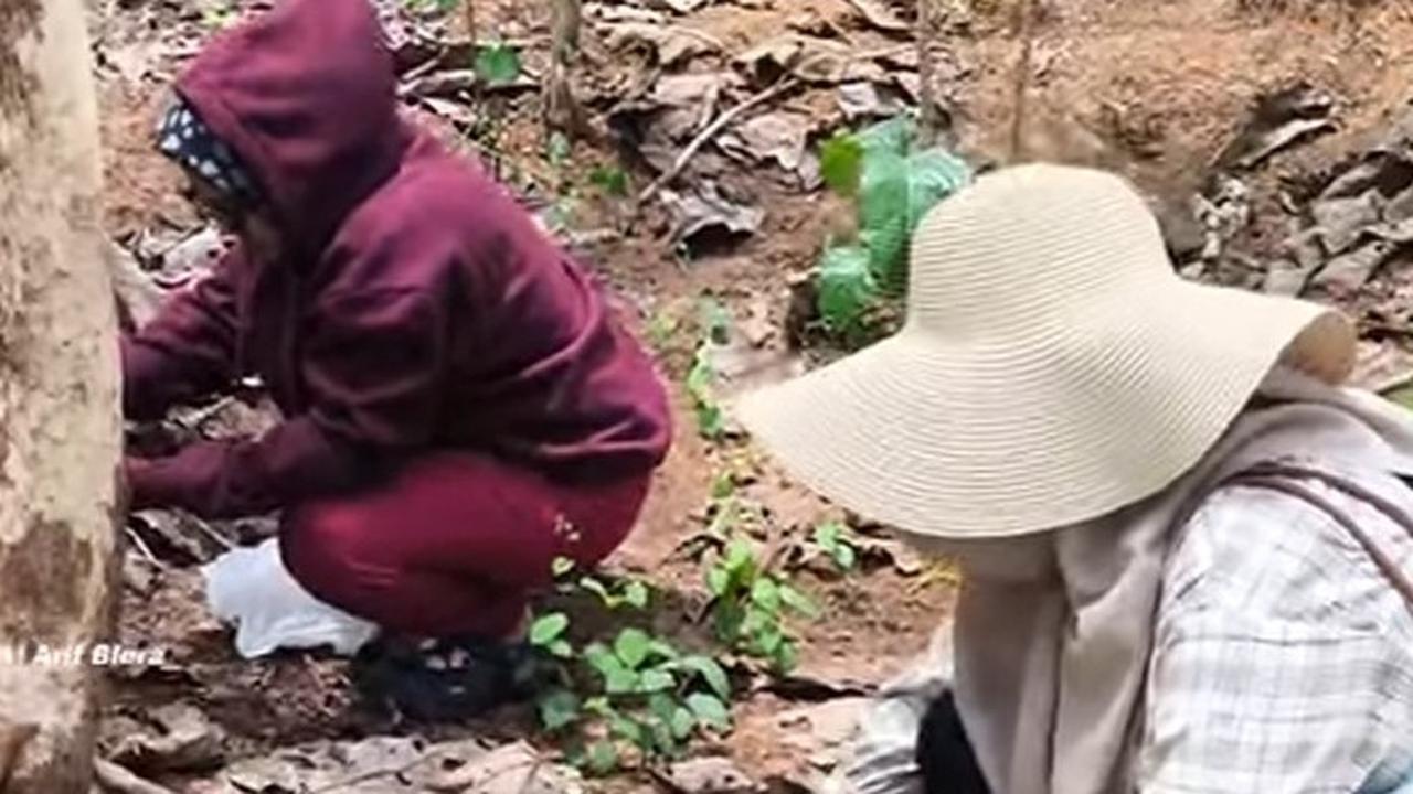 Berburu ungker di pedalaman Blora
