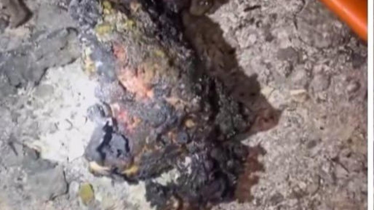 Pemilik akun juga membagikan potret Sham yang meninggal dunia secara mengenaskan. <br>