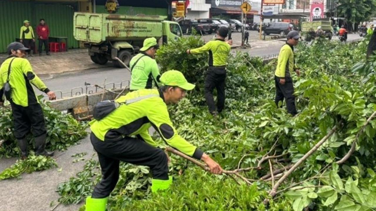 Sudin Tamhut Jakarta Barat Sukses Tangani Lebih dari 10 Ribu Pohon Bermasalah Sepanjang 2025