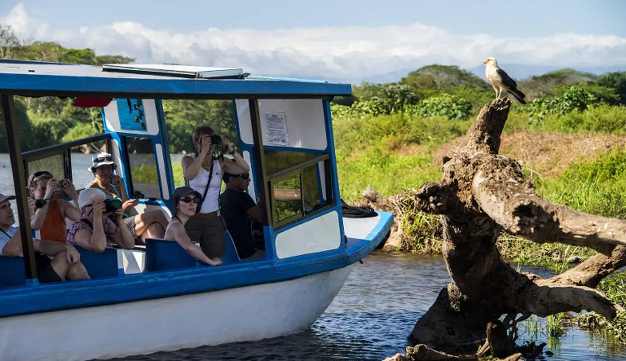 Para wisatawan menggunakan sebuah perahu menyusuri Sungai Tarcoles, Rio Grande, Kosta Rika, Jumat (13/3/2015). Habitat alami menjadi daya tarik objek wisata Sungai Tarcoles. (AFP Photo/Ezequiel Becerra)