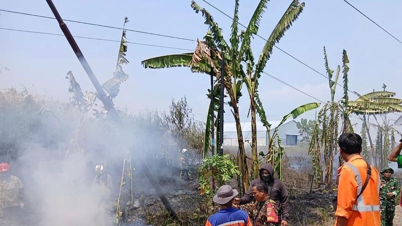Kebakaran Lahan di Klaten Ganggu Perjalanan Kereta, KAI Buka Suara