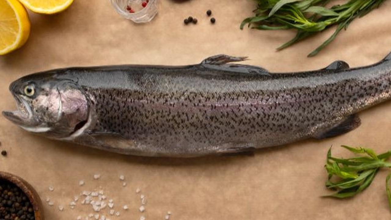 Trout