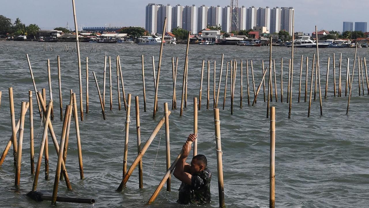 Solusi Akhiri Polemik Pagar Laut Tangerang, Anggota DPR: Batalkan SHM dan HGB-nya!
