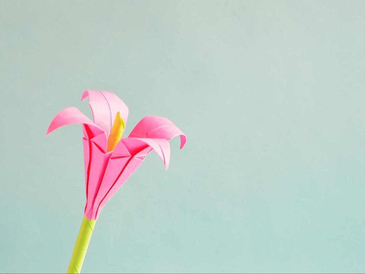 Cara Membuat Bunga Tulip