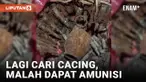 Geger! Penemuan Puluhan Amunisi dan Granat di Cengkareng