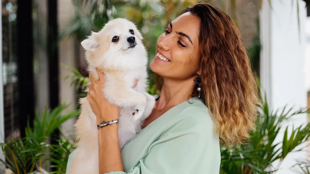 Dog Owner