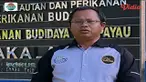 Banyak yang menggemari hewan laut. Namun, perburuan yang terus menerus berdampak pada berkurangnya populasi biota laut.