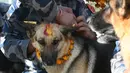 Personel kepolisian Nepal memberikan kalung bunga dan bubuk merah di dahi anjing polisi selama perayaan festival Tihar di Kathmandu, Selasa (6/11). Dalam kepercayaan Hindu, anjing adalah perantara untuk Yamaraj atau Dewa Kematian. (PRAKASH MATHEMA/AFP)