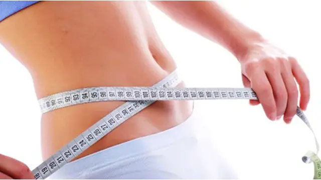 Copyright by Shutterstock.com