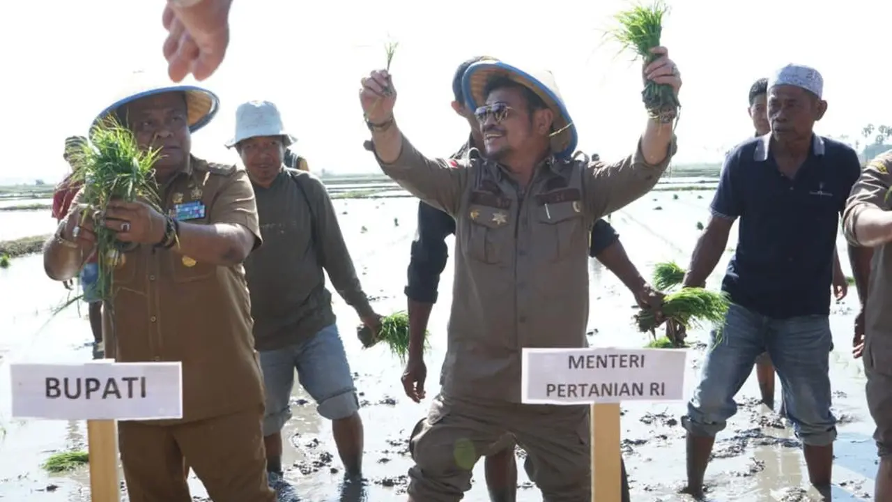 Mentan SYL Kick Off Gernas Antisipasi El Nino di Bone, Tanam Padi di Lahan 16 Ribu Ha