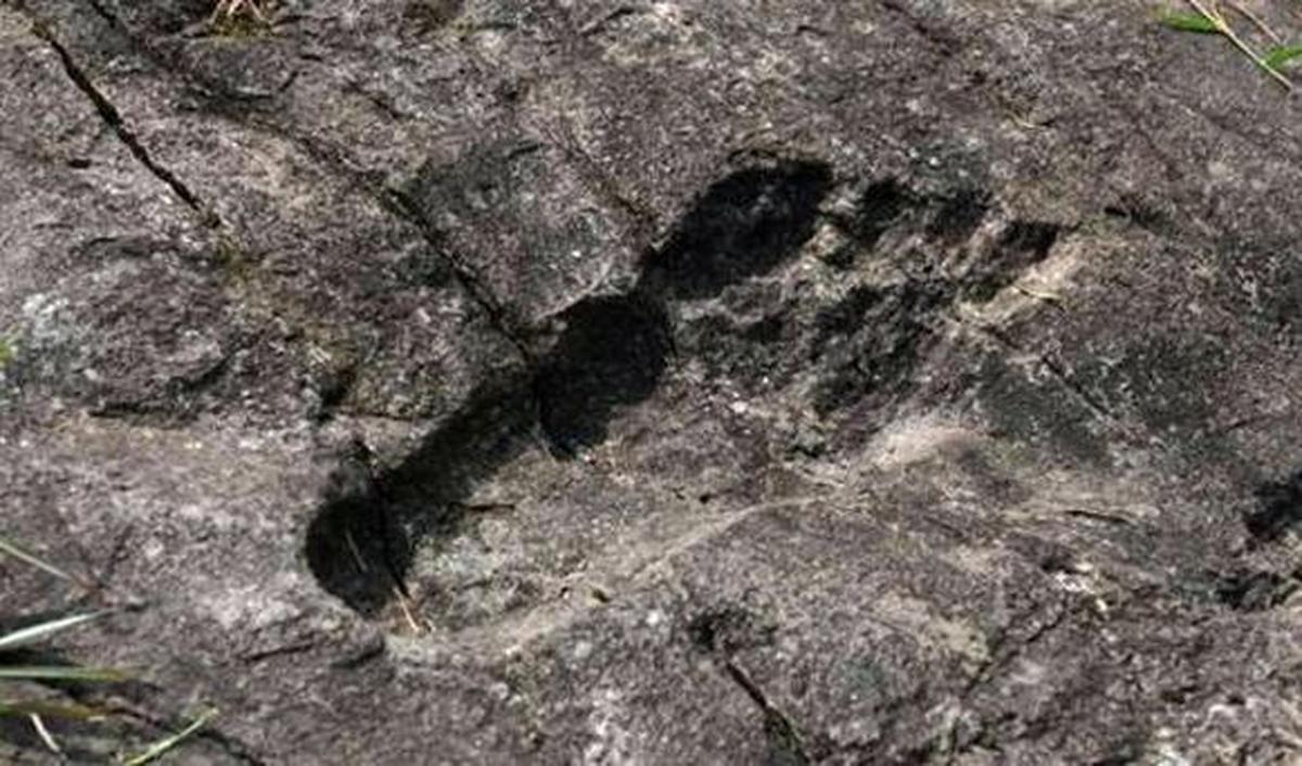 Penemuan jejak kaki raksasa menghebohkan desa Pingyan, provinsi Guizhou, di bagian barat daya China. Jejak kaki manusia raksasa ini ditemukan oleh sekelompok fotografer pada Agustus 2016, yang memicu spekulasi tentang asal-usul dan kebenaran di balik jeja