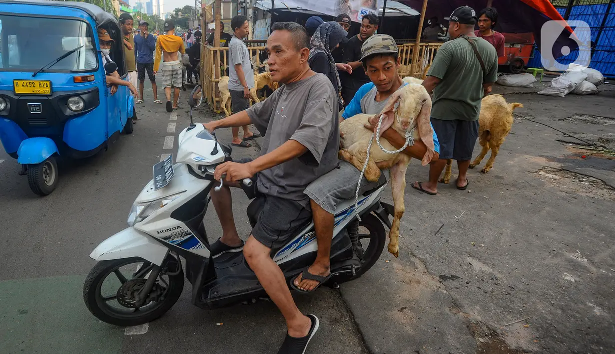 kambing kurban yang dibeli untuk diantarkan kepada konsumen di kawasan Tanah Abang, Jakarta Pusat, Minggu (16/6/2024). (merdeka.com/Arie Basuki)